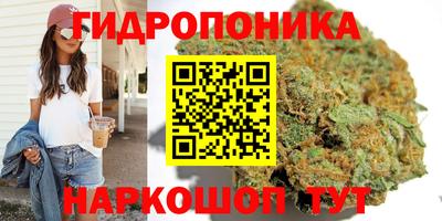 крисы Азнакаево