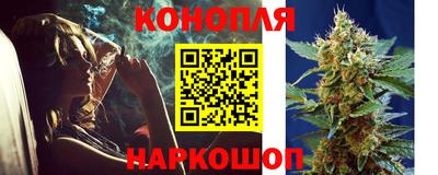 спайс Малгобек
