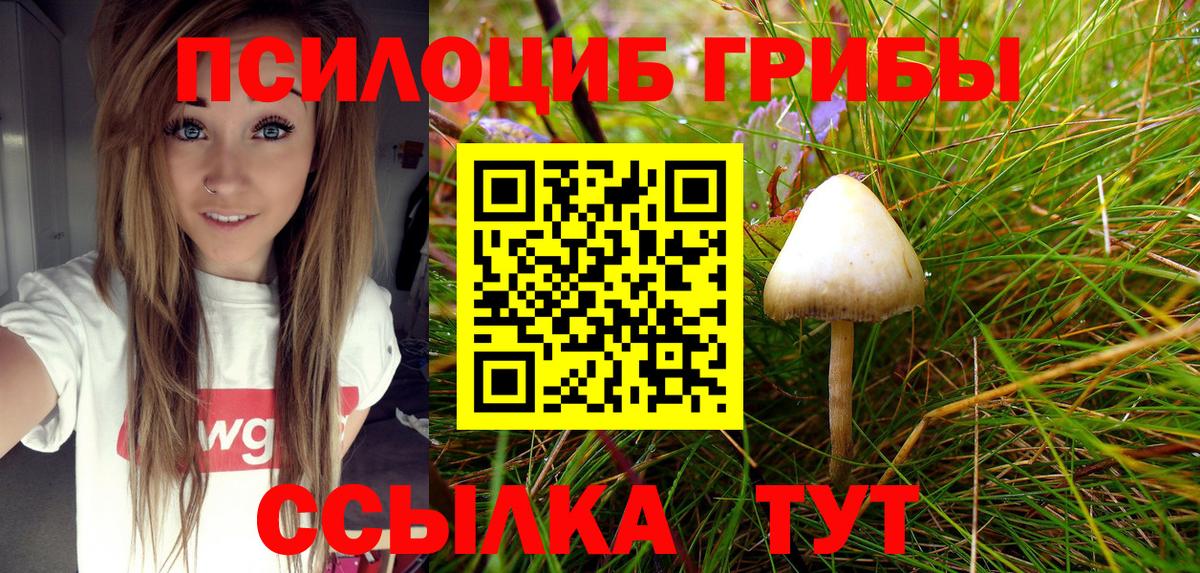 Галлюциногенные грибы прущие грибы  Псилоцибиновые грибы мухоморы  дарнет шоп  Ессентуки 