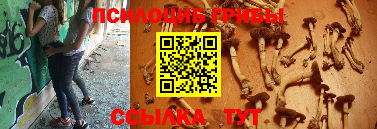 Псилоцибиновые грибы мухоморы Ессентуки