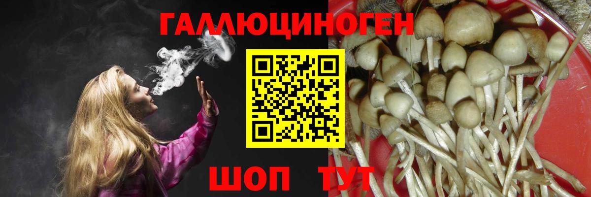 как найти закладки  Псилоцибиновые грибы Magic Shrooms  Галлюциногенные грибы прущие грибы  Вход с VPN  Ессентуки 